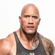Постер Дуэйн Джонсон (Скала), Dwayne Johnson (The Rock), A3 42×30 см (id0054) - изображение 2