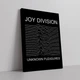 Интерьерная картина Джой Дивижн, Joy Division, Unknown Pleasures (1979), 42×30 см (id1947) - изображение 1