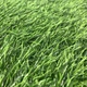 Штучна трава 20 мм ecoGrass - изображение 3