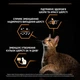 Сухой корм для кошек Purina Pro Plan Elegant с лососем 400 г (7613036544962) - изображение 5
