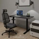 Стол с электрорегулировкой высоты Mealux PowerDesk Lite 120х60х71-118 см Black (EVO-201 Lite B/B) - изображение 2