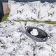 Простынь на резинке MirSon 90x200+25 см 00-1 Olive Flowers поплин (2200009699269) - изображение 3