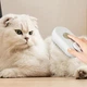 Щетка-Чесалка с паровым увлажнением без нагрева для Домашних Животных Massage Brush 3в1 на аккумуляторе USB LED White - изображение 2