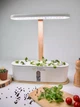 Гидропонная установка гроубокс Smart с LED подсветкой для домашнего выращивания сада, рассады, зелени и макрозелени мощность 24 Вт посадочных мест 10 smart garden_2 - изображение 4