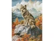 Алмазная мозаика Горный волк, Brashme (30х40 см), RDBS7025 - изображение 1
