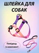 Шлея петля повідець фіолетова для собак регулюється, водостійка, анатомічна обхват грудей 45-65см, повідок для собак QQPETS, М (до 10 кг), набір регульованих ременів фіолетово-рожевий градієнт градієнт , - зображення 1