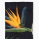 Шкарпетки 5.11 Tactical Sock Awe Knife Paradise Black L (10041AFO-019) - зображення 4