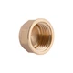 Заглушка латунна Thermo Alliance Standart 1/2" В (внутрішня різьба), під пломбу, PN25 - изображение 3