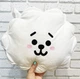М'яка Іграшка Альпака ЕРДЖЕЙ BT21 Плюшева Подушка RJ ARMY персонаж BTS 37 см Блий (01351) - зображення 3