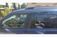 Ветровики (4 шт, Sunplex Sport) для Fiat Siena 1998- гг - изображение 1