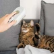 Акумуляторна щітка з паром для вичісування собак та котів Steamy Brush Pet, електрична парова щітка для догляду за шерстю BRH-988-White/Beige - зображення 9