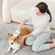 Акумуляторна щітка з паром для вичісування собак та котів Steamy Brush Pet, електрична парова щітка для догляду за шерстю BRH-988-White/Beige - зображення 10