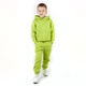 Детский костюм утепленный худи и штаны Dexter`s lime 134 см - изображение 2