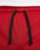 Шорты мужские Jordan Sport Dri-Fit M Червоно-чорний DH9077-687 - изображение 3