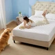 Наматрасник MirSon №7003 AquaCotton Mattress Protector водонепроницаемый на резинке по периметру 80 x 200 см (2200010908992) - изображение 2