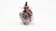 Карбюратор PWK 34 KEIHIN SUDCO - зображення 5