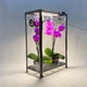 Мини-теплица для орхидей и тропических растений Orchid Black - увлажнитель, фитосвет, таймер - изображение 1