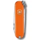 Швейцарський складаний ніж 58мм Victorinox CLASSIC SD Colors 0.6223.83G - зображення 2