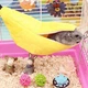 Гамак для хом'яка "Banana" Yellow - зображення 8