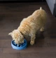 Миска-лабіринт для тварин Outward Hound Fun Feeder (Фан-Фідер) Дроп d = 22.5, H = 4 см, 240 г. Сірий (oh69891) - зображення 2
