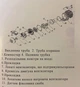 Автомобильный автономный обогреватель в сборе 5Кв 12/24В В-0222-EL2 - изображение 7