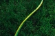 Шланг для полива садовый 2E AquaFlex 1/2" 20 бар 20м Зеленый с желтым (2E-GHE12GN20) - изображение 4