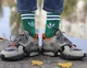 Мужские спортивные носки высокие с принтом Adidas цветные, Зелені/42-45р. - зображення 3