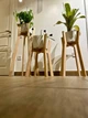 Подставка для вазонов WoodDecor косоногая высокая бук 210x880x500 мм без покрытия - изображение 4
