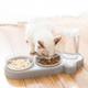 Кормушка 3в1 для животных со съемными мисочками Gatto миска для кошек и собак со встроенной поилкой, 500 мл, серый (101316789) - изображение 6