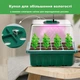 Набор универсальных лотков GrowBox для проращивания растений со светодиодным светом 19*15 см 4 шт - изображение 5