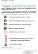 "Я исследую мир. Учебник. 1 класс. 2 часть. НУШ" – Грущинская И., Хитрая З. (Твердый переплет) - изображение 3