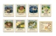 Настільна гра Rozum CATAN: Мореплавці - Доповнення! Українською! - изображение 7