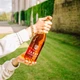 Сидр игристый Sassy La Sulfureuse полусладкий 3% 0.75 л (3770004927029) - изображение 3