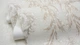 Обои виниловые на флизелиновой основе SINTRA Willow 520079 (1,06х10,05м) - изображение 4