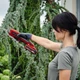 Секатор Einhell GE-LS 18 Li-Solo, PXC (без АКБ и ЗУ) (3408300) - изображение 4