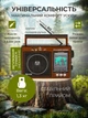 Портативний радіоприймач AM/FM/SW1-SW9 та MP3 робота від мережі та акумулятора з USB, SD, MICRO SD ретро радіо колонка 6 Вт - зображення 2