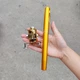 Удочка-ручка с катушкой FishscribePen, 1 м, золотая - изображение 2