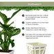 Вазон Idel Flowerbox квадратний фісташковий/білий 17см (740040) - изображение 8