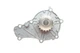Комплект ГРМ + помпа Citroen Berlingo/C4/C3/C5/Jumpy/Peugeot Partner/206/307/308 1.6HDI 04-25x137z - 1 987 948 721 BOSCH - зображення 8