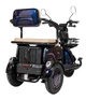 Електроскутер ATLAS Elegant Trike 800W 48V20Ah Cyan Blue - изображение 5