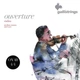 Струни для скрипки Gallistrings OV40, 4/4 Ouvertune, MEDIUM, Steel - изображение 1