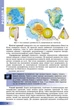 Географія 8 клас. Підручник. В.Ю.Пестушко. Г.Ш.Уварова. А.І.Довгань. Генеза - изображение 4