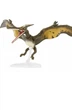 Мир Юрского Периода: Птеранодон Jurassic World Amber Collection Pteranodon Mattel - изображение 2