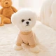 Свитер для собак и кошек "A HAPPY DAY" Size XS - изображение 4