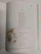 "Я так її, я так люблю ...". Кобзарь і додатково твори, малюнки (1814-1861) Шевченко Т.Г. Великий формат, - изображение 7