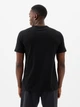 Футболка Gap Everyday Soft Crewneck T-Shirt Black 855769091 L - изображение 3