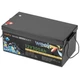 Тяговый аккумулятор Weekender FT12300. 12V. 300A/h. LiFepo4. Аккумулятор для лодочного электромотора. - изображение 3