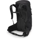 Рюкзак Osprey Sportlite 30 M/L - зображення 3
