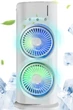 Вентилятор настільний подвійний з охолодженням Double-ended Spray Fan LED-підсвічування 3 швидкості, розпилювач водяного туману - зображення 1
