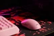Мышь 2E Gaming MG355 WL Wireless/USB Pink (2E-MG355UPK-WL) - изображение 10